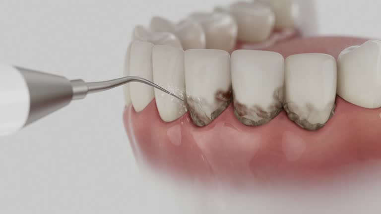 Reliable Dental contractor in Bear Creek, AK by Dentist Open Now